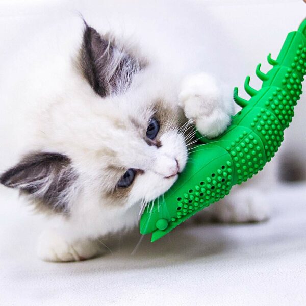 A white kitten playing with a green Purrfect Chew